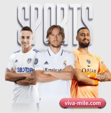viva-mile.com APP