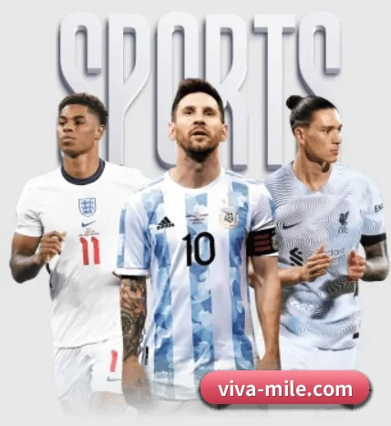 viva-mile.com的方向